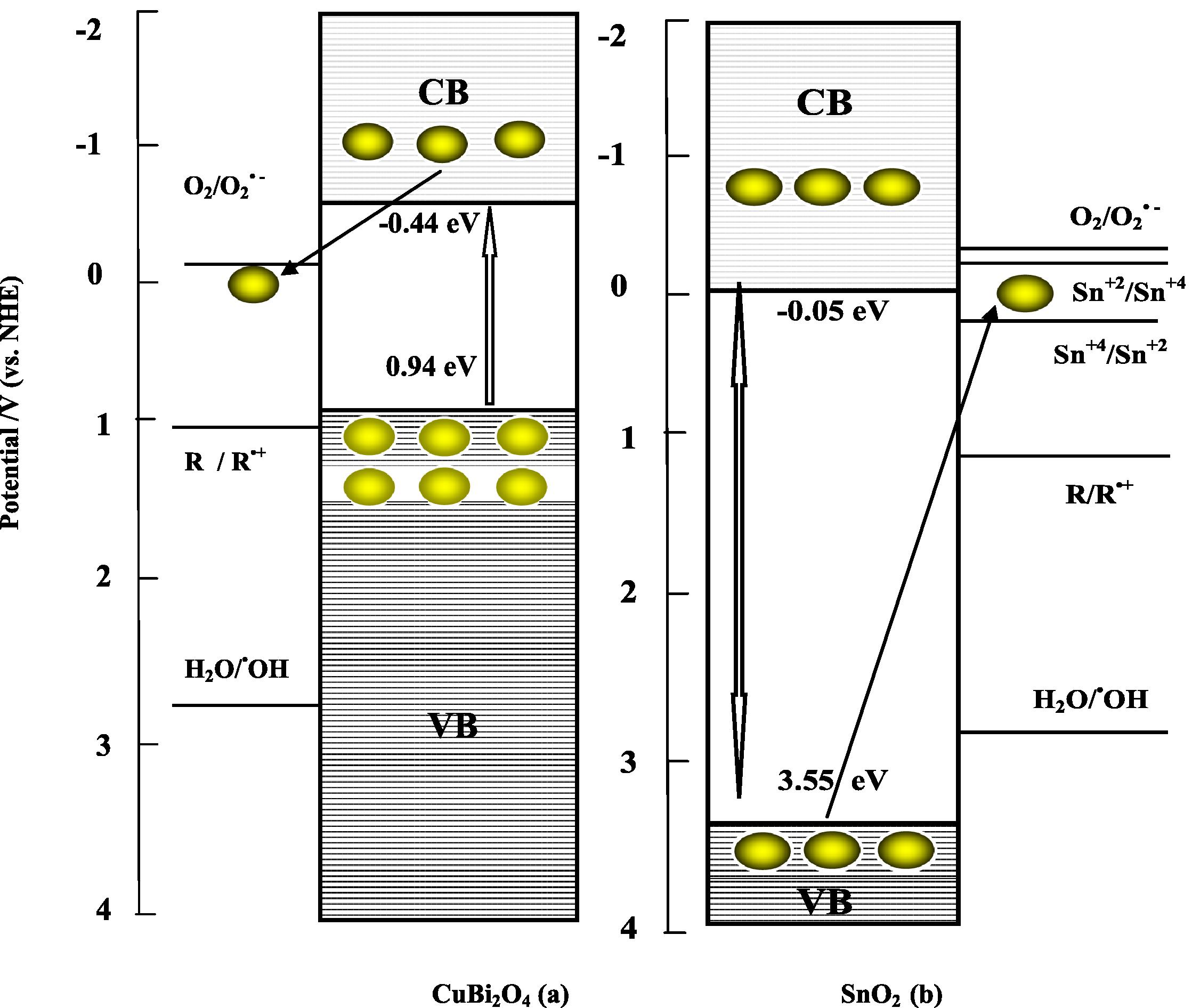 Reaction schemes of CuBi2O4 (a) and SnO2 (b) as the p- and n-type semi-conductor respectively for charge separation for the reductivity/oxidizability improvement model (electron and hole ).