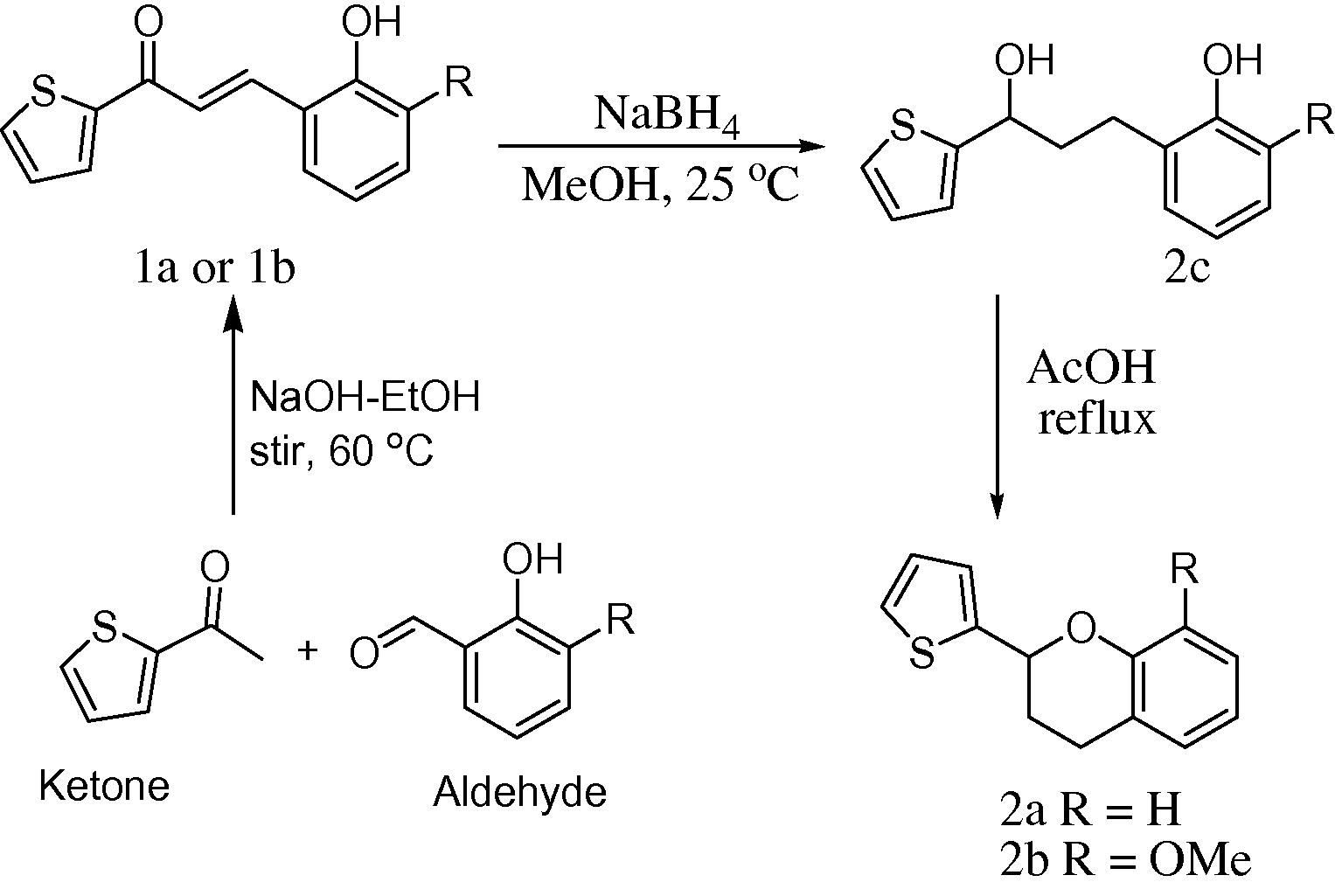 Synthesis of thienylchalcones and flavans.