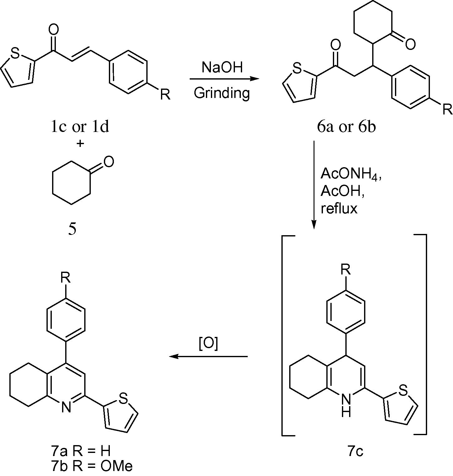 Synthesis of tetrahydroquinolines.