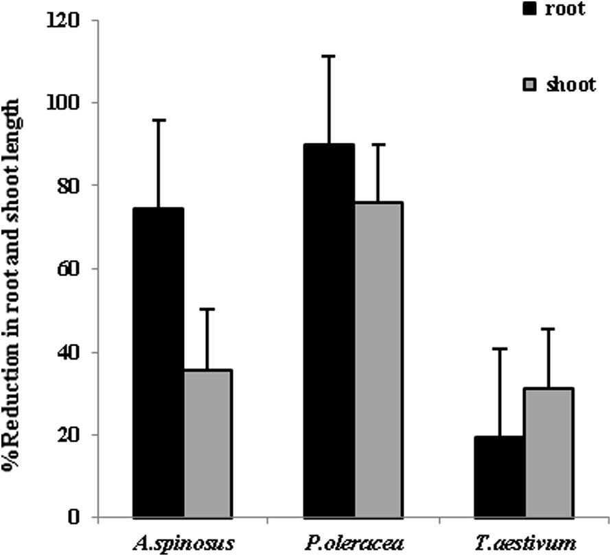 Percentage reduction in root length and shoot length of spiny amaranth, pigweed and wheat seedlings in paired plate assemblies (n = 3).