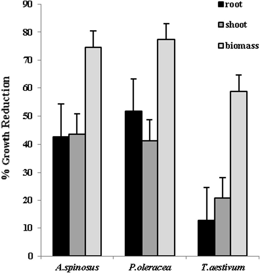 Percentage reduction in growth parameters of spiny amaranth, pigweed and wheat seedlings in glasshouse experiments (n = 3).