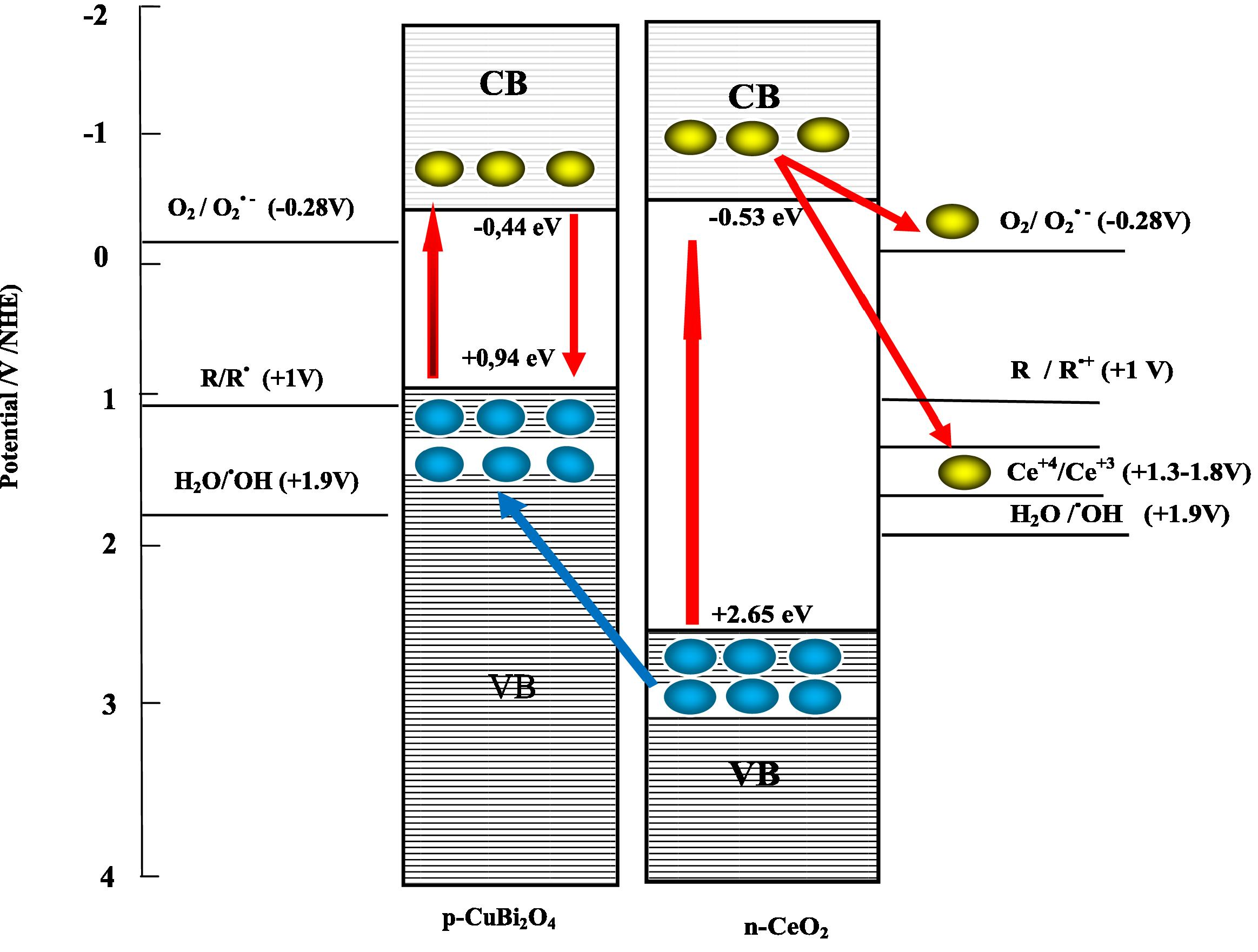 Reaction scheme of CuBi2O4/CeO2 as the p–n type charge separation for the reductivity/oxidizability improvement model (electron and hole ).