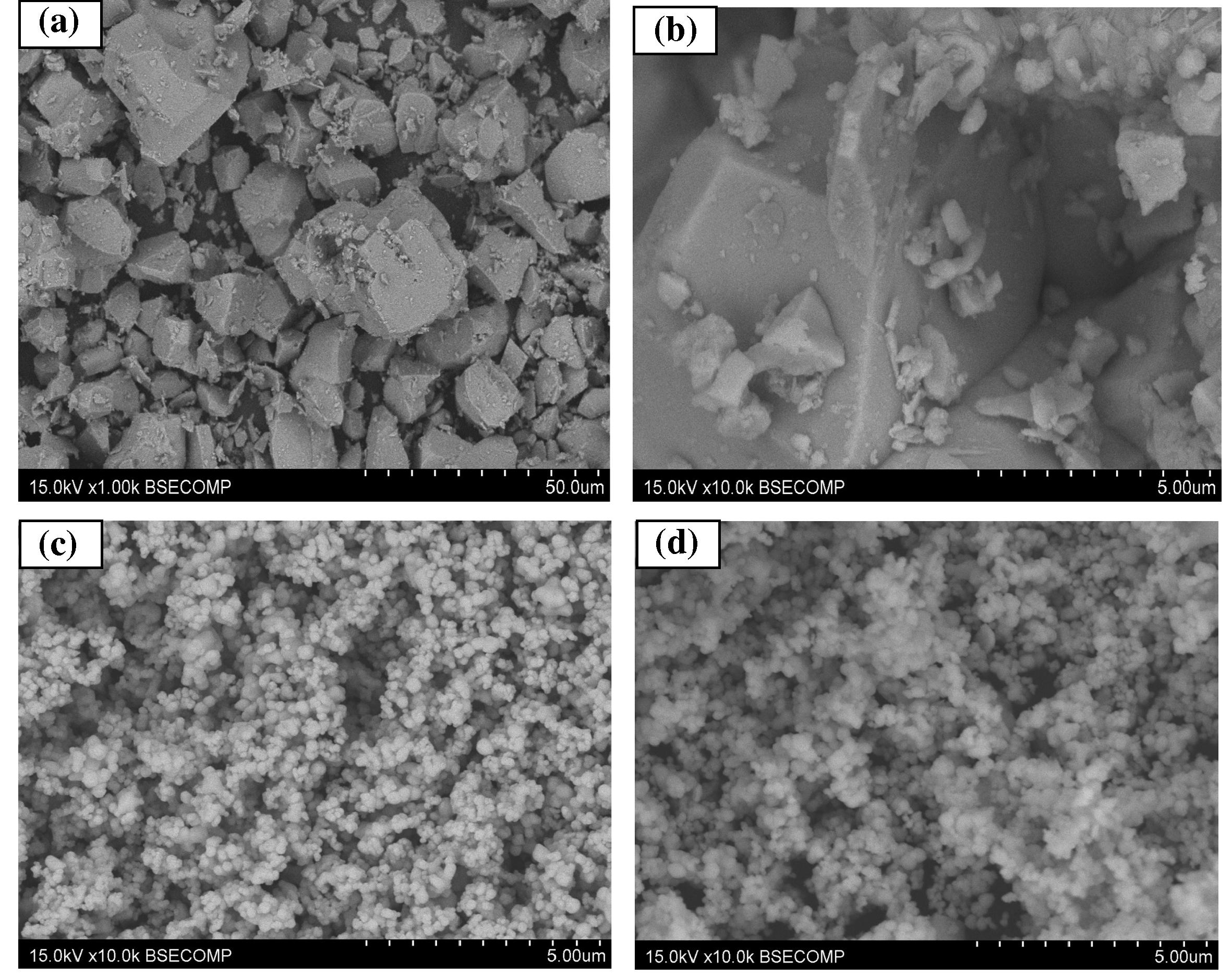 SEM images of (a) low-resolution of CuBi2O4 (b) high-resolution of precursor CuBi2O4 (c) pure CeO2 (d) (30 wt%)CuBi2O4/CeO2 composite.