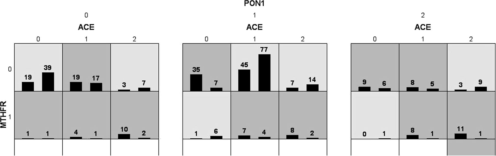 Interaction of MTHFR, PON1 and ACE genes between cases and controls by MDR analysis by graphical representation.