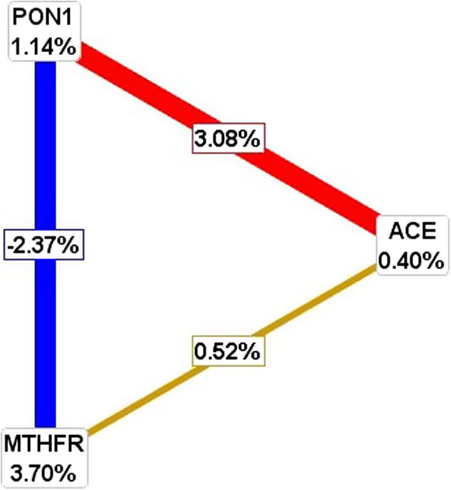 Radial graphic representation of interaction of ACE, MTHFR, PON1 genes by MDR analysis.