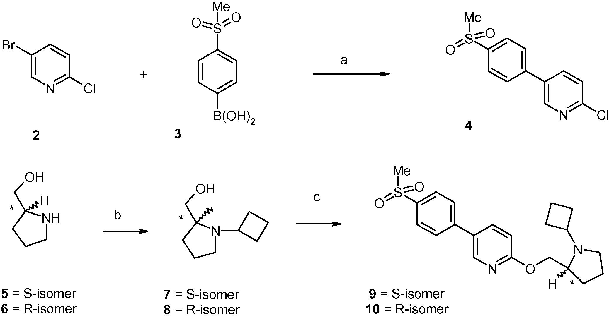 Reagents and conditions: (a) 4-(Pd(PPh3)4, 2 M aq. Na2CO3, toluene, EtOH, 95–100 °C, 3 h, 70%; (b) (i) cyclobutanone, gl. AcOH (catalytic), CH2Cl2, 0 °C, 20–30 min; (ii) sodium acetoxyborohydride, 0 °C to room temperature, 4–6 h, 60–65%; (c) (i) NaH, DMF, 0 °C to room temperature, 30 min; (ii) compound 4, 100 °C, 2 h, 40–45%.