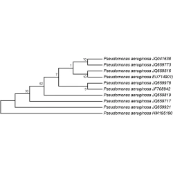 Article figure