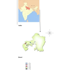 Article figure