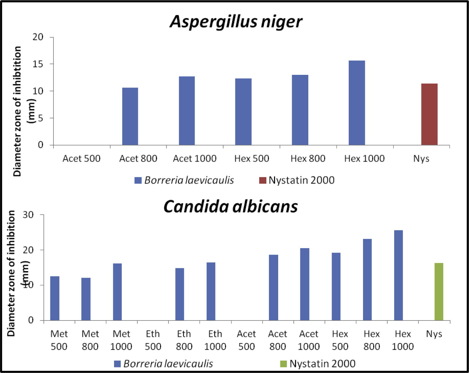 Anti-fungal activity of Borreria sps by disc diffusion assay. Histogram showing quantification of zone of inhibition displayed against A. niger, C. albicans using different concentrations (μg/disk) along with nystatin (2000 units/disk), positive control.