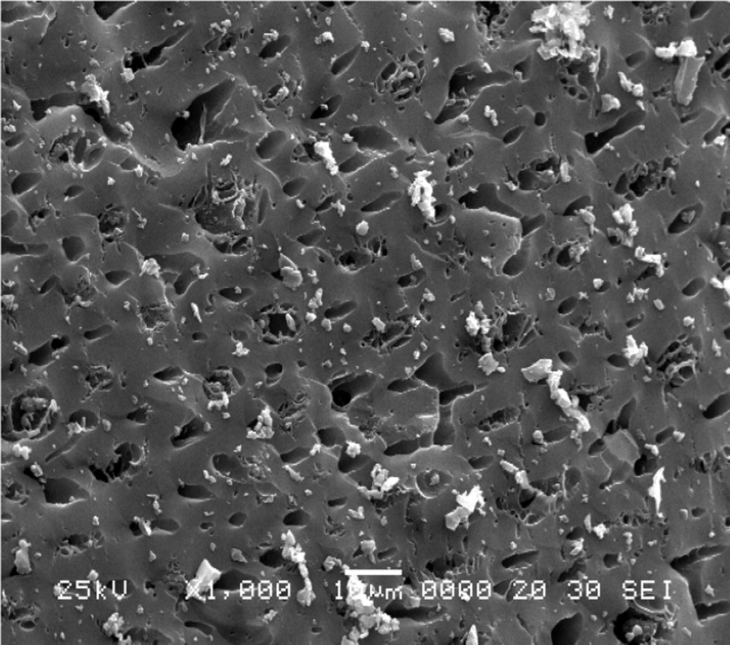 SEM image of unmodified AC at magnification of 1000×.