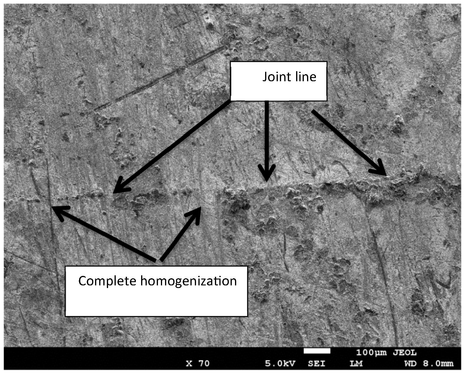 Image (SE mode) of the joint region for bond made at 20 min.