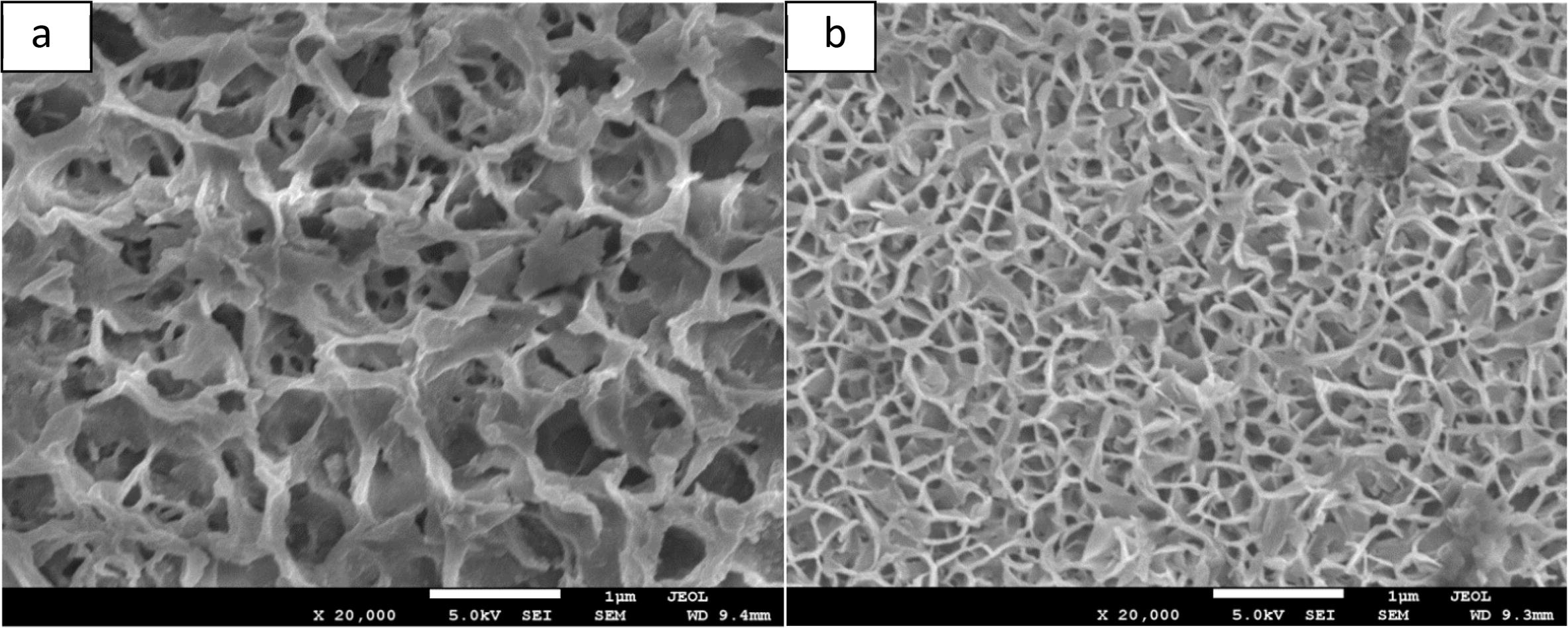 SEM images (SE mode) for the base material (a) near the joint and (b) away from the joint.