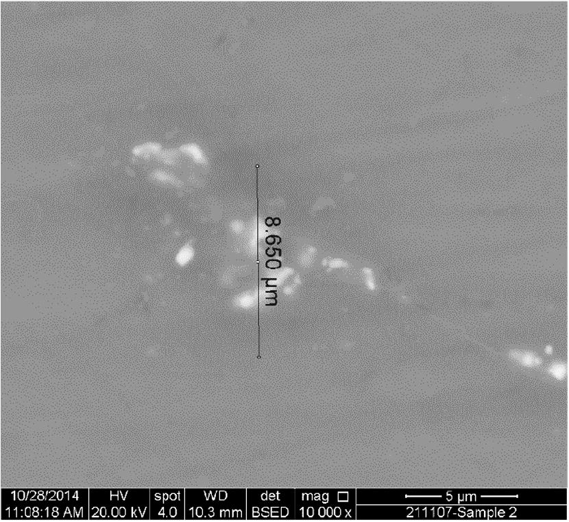 SEM image of the joint region for bond made at 10 min.