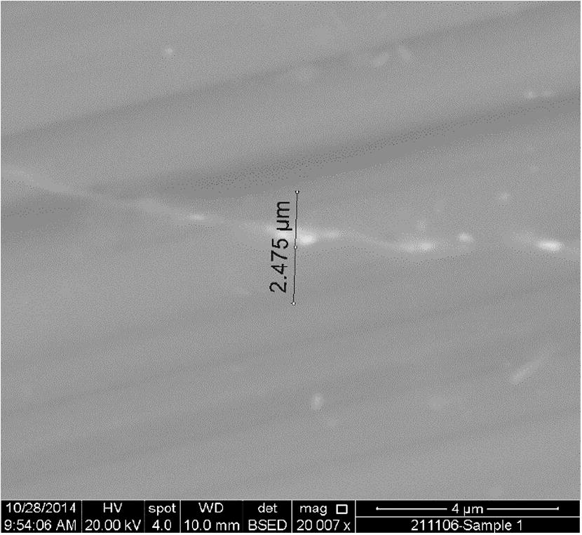 SEM image of the joint region for bond made at 20 min.