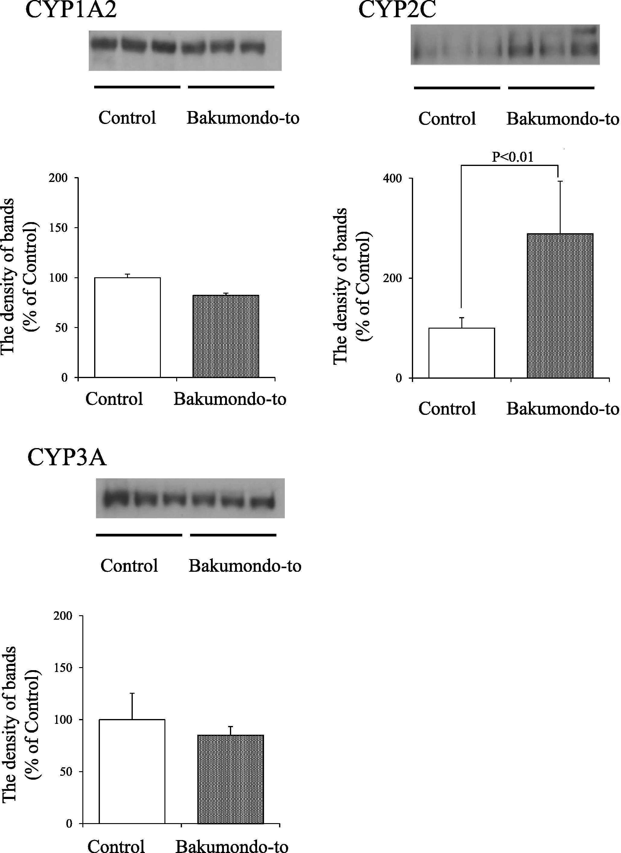 Analysis of the expression and the bands density of liver CYPs protein in rats treated with Bakumondo-to by Western immunoblotting with (A) anti-CYP1A2 antibody, (B) anti-CYP2C9 antibody, and (C) anti-CYP3A antibody. Each point represents the mean ± S.D. of three experiments.