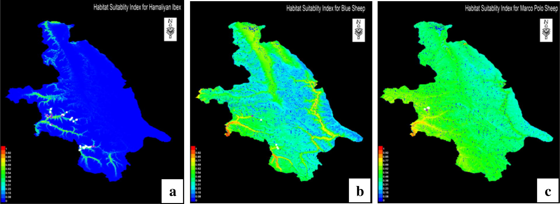 MaxEnt generated habitat suitability maps for Taxkorgan Nature Reserve, using Habitat Suitability Index (HSI) calculated between 0 and 1 for ibex (3a), Blue sheep (3b) and Marco Polo sheep (3c) based on their actual sightings. Red colors show high suitability, yellow moderate and blue low suitability habitat.