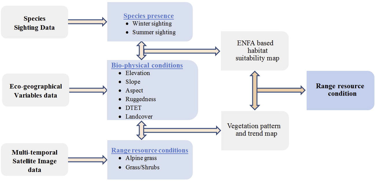 Study scheme/flow diagram.