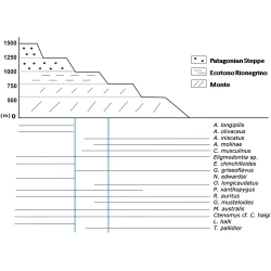 Article figure