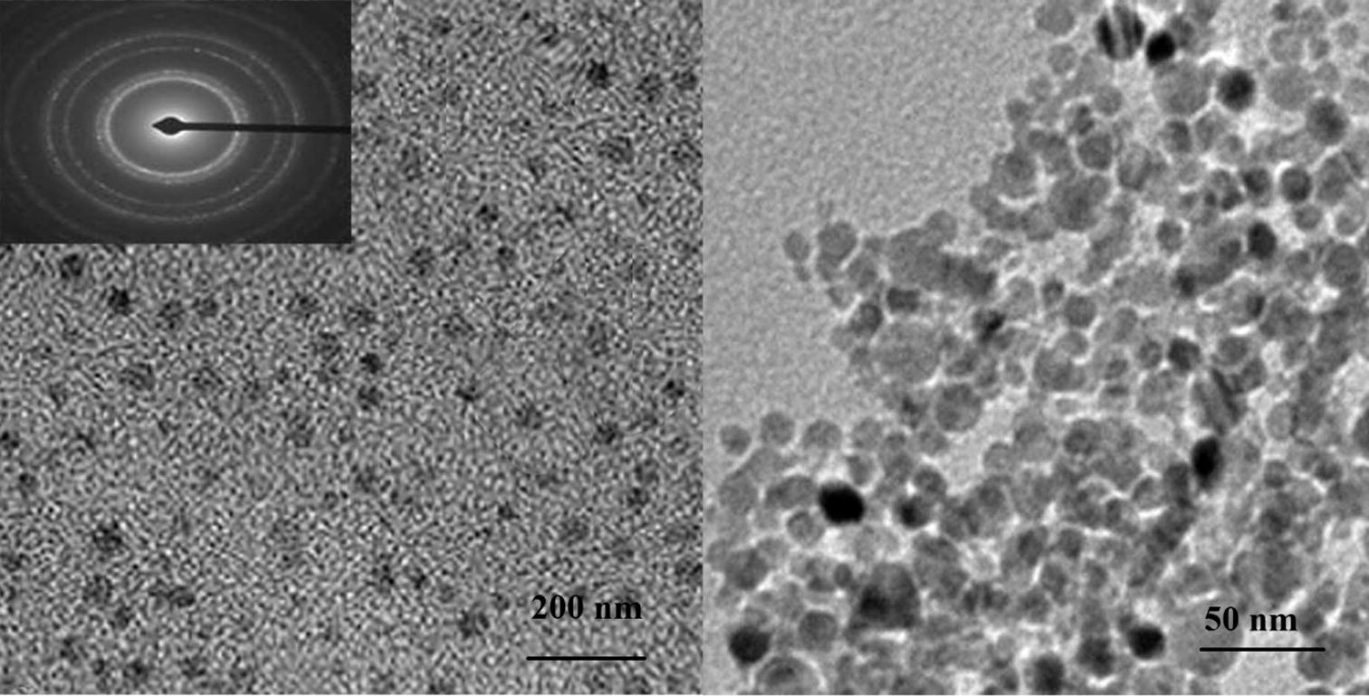 TEM image of 200 nm and 50 nm magnification showing the silver nanoparticles using B. kewensis leaf extract.