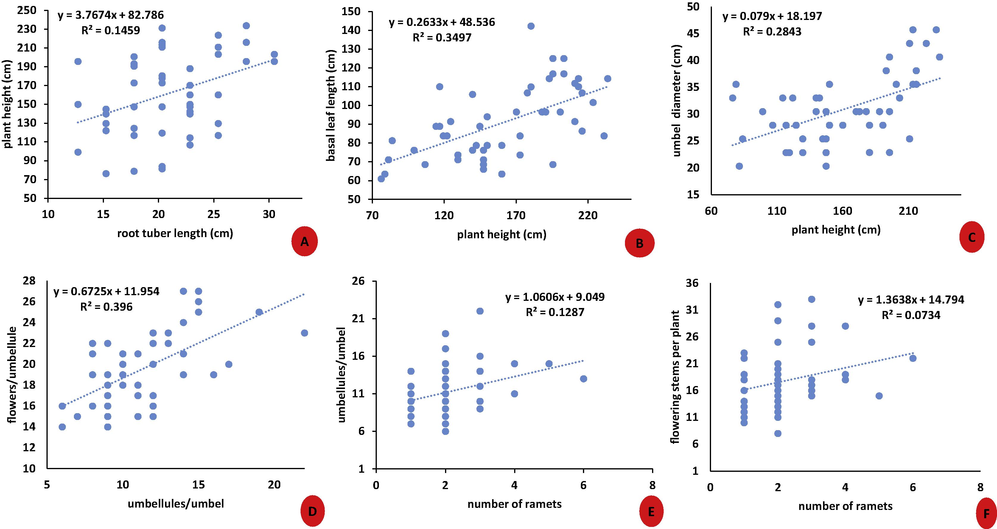 (A–F) Regression analysis between several morphological characters of F. jaeschkeana.