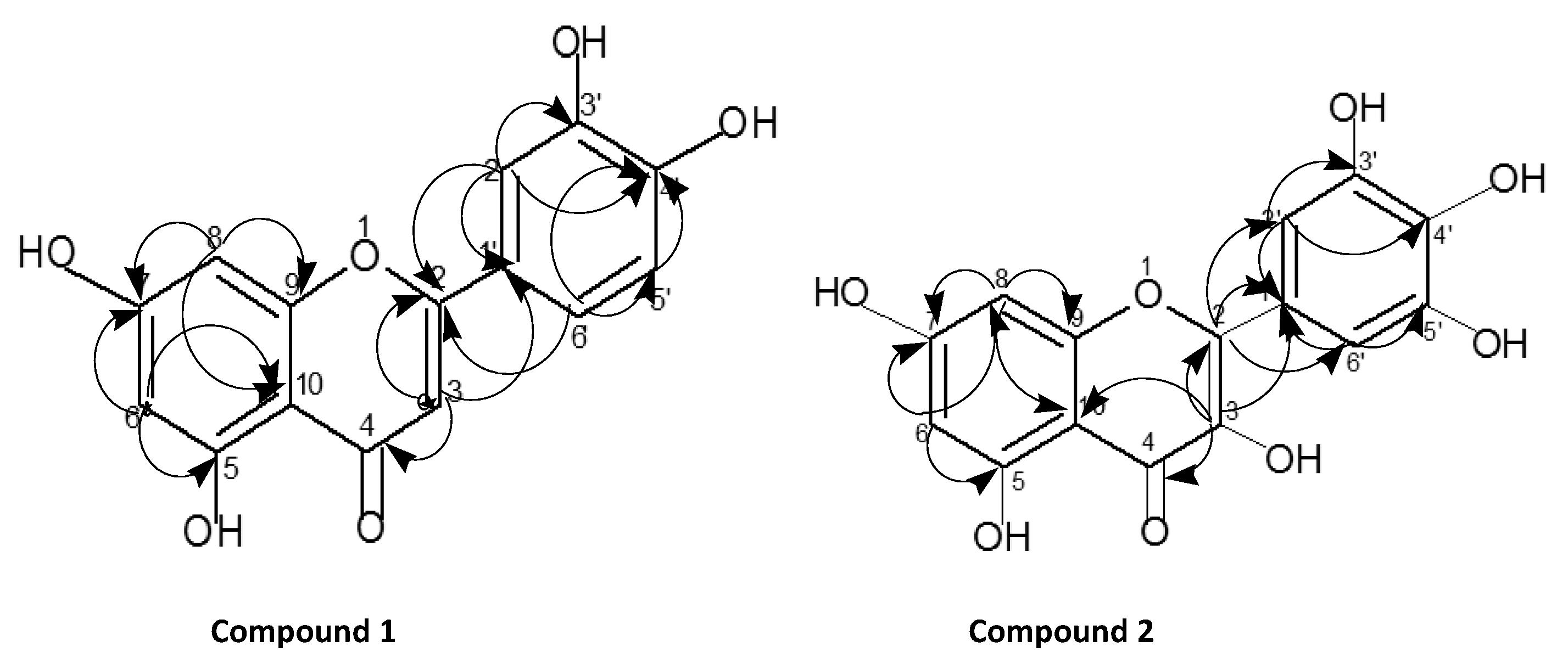 COSY and HMBC correlation of compound 1 and compound 2.