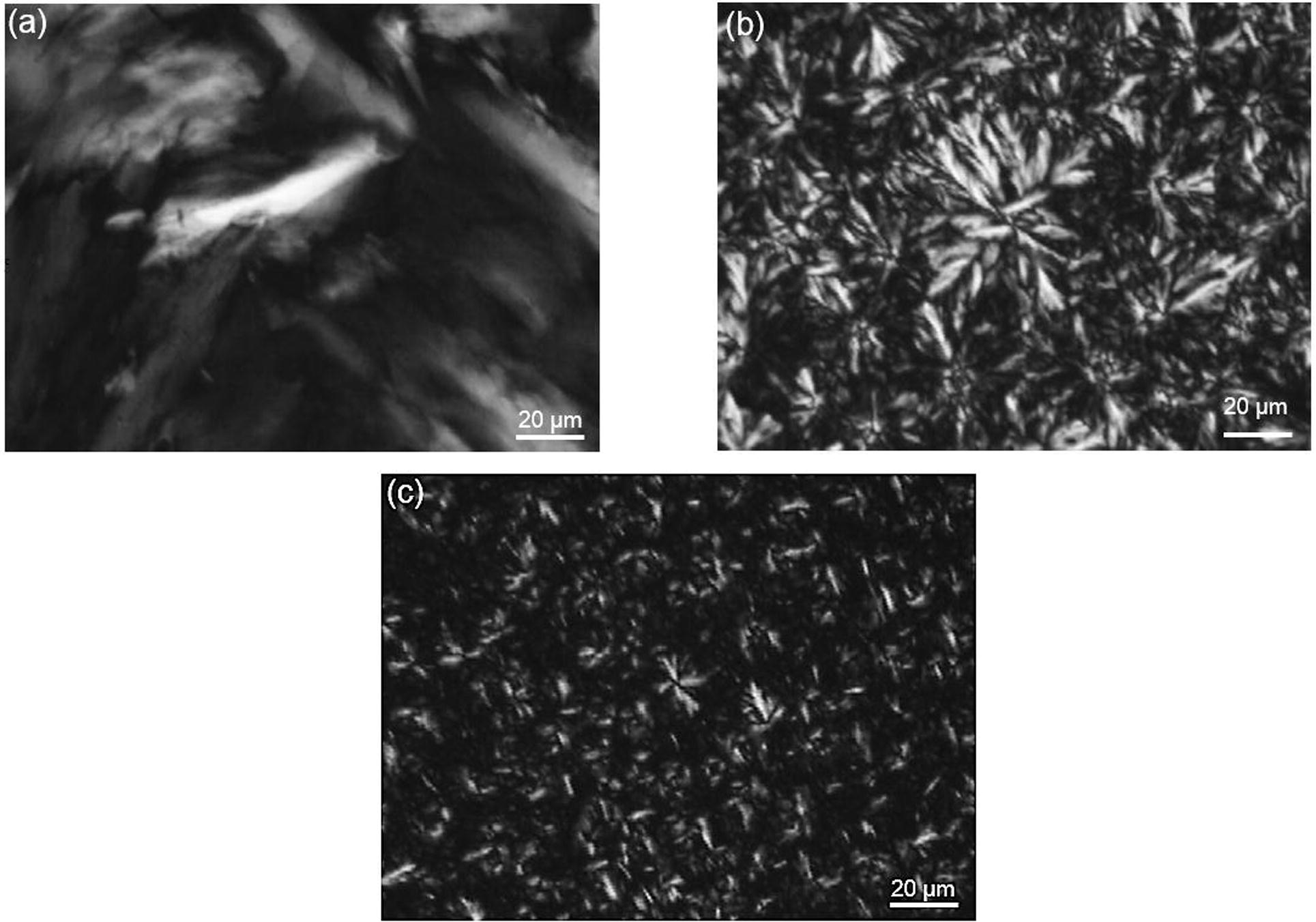 Polarized light micrographs of stearin obtained from acetone fractionation (a), fully hydrogenated canola oil (b) and hydrogenated palm oil (c) crystallized isothermally and stored at 25 °C for 24 h at 400× magnification.