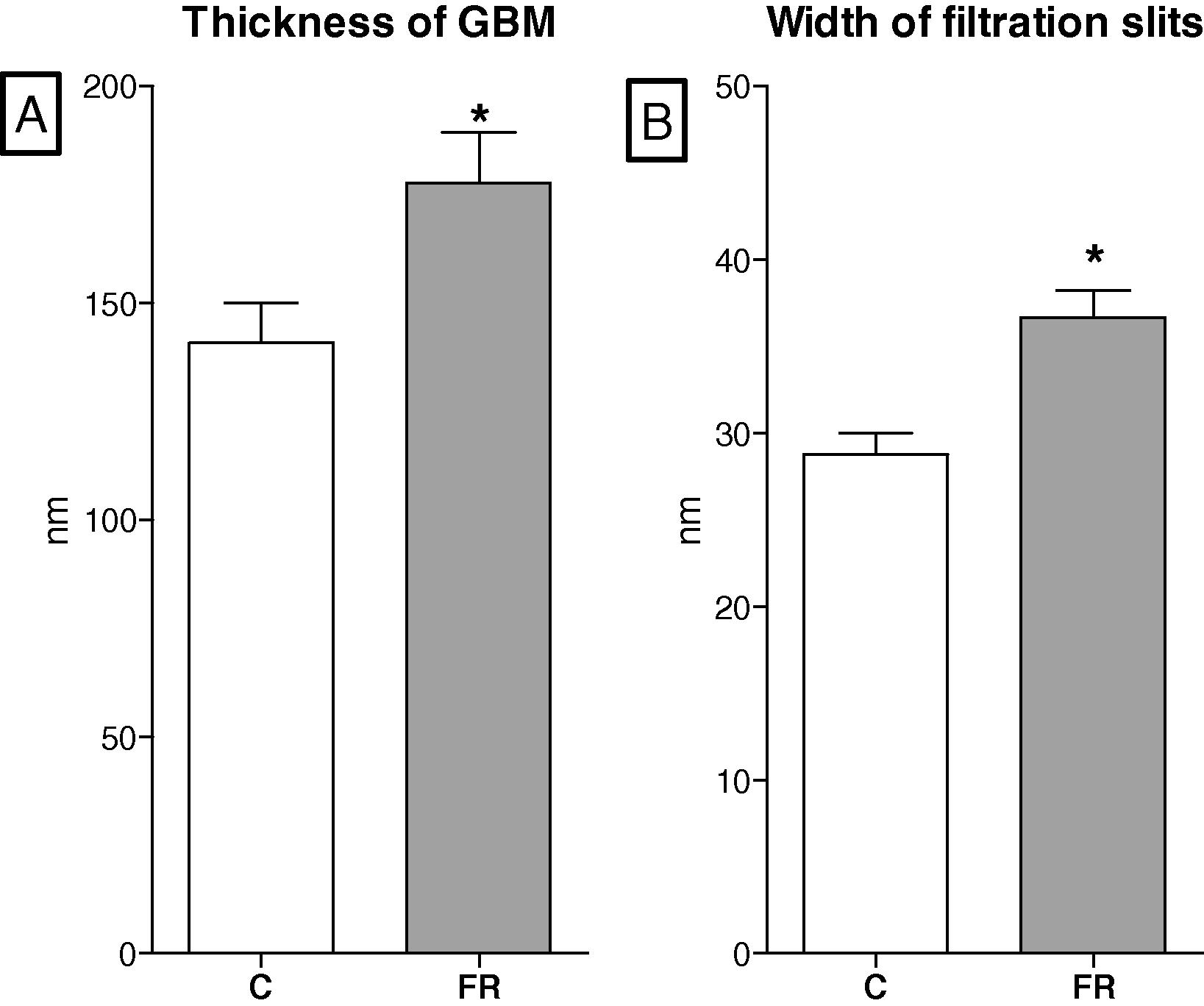 Long term effects of maternal diet on the thickness of glomerular basement membrane, GBM (A) and width of filtration slits (B) in six-month-old offspring. Maternal food restriction (FR, n = 8) increased the thickness of GBM and the width of slits in comparison to controls (C, n = 8).