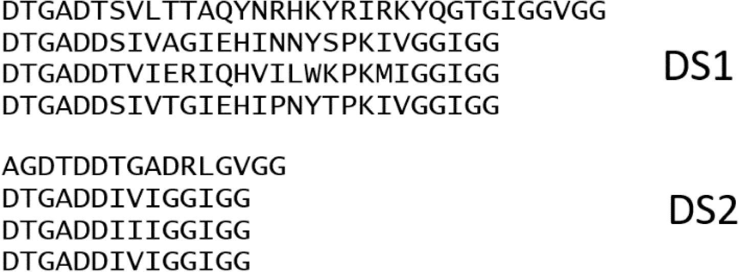 Two small datasets: DS1, DS2, that will be used in parameters study.