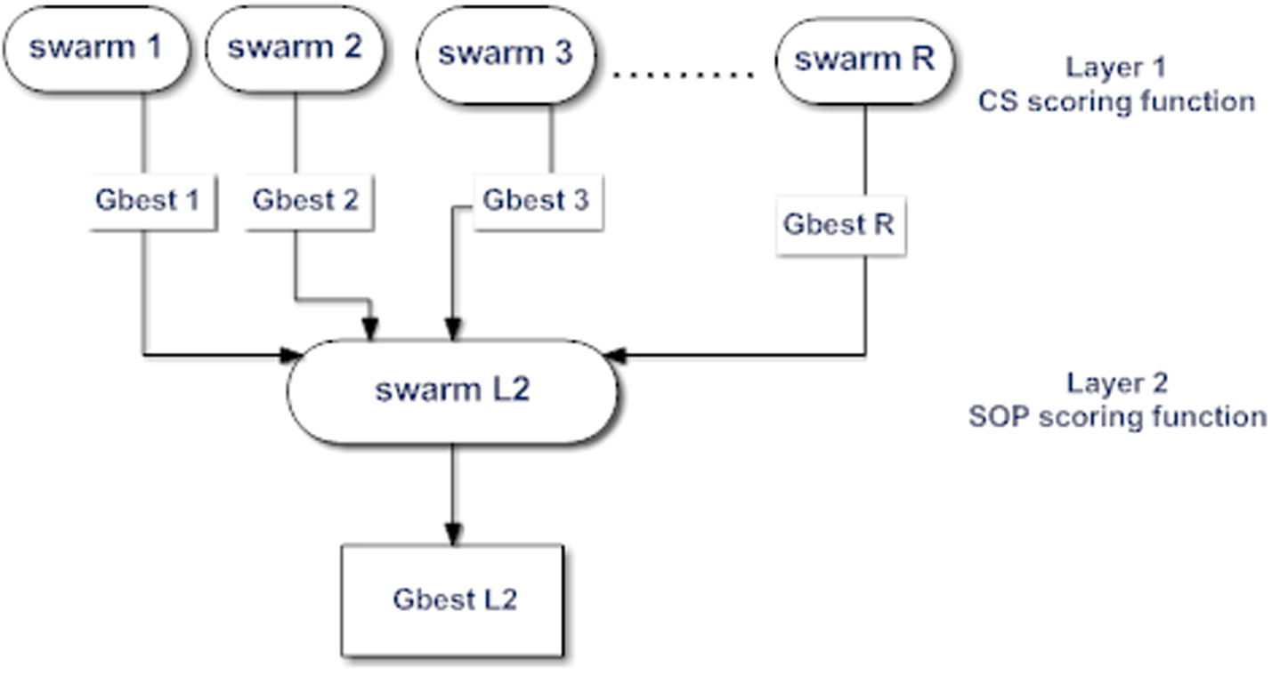 TLPSO structure.