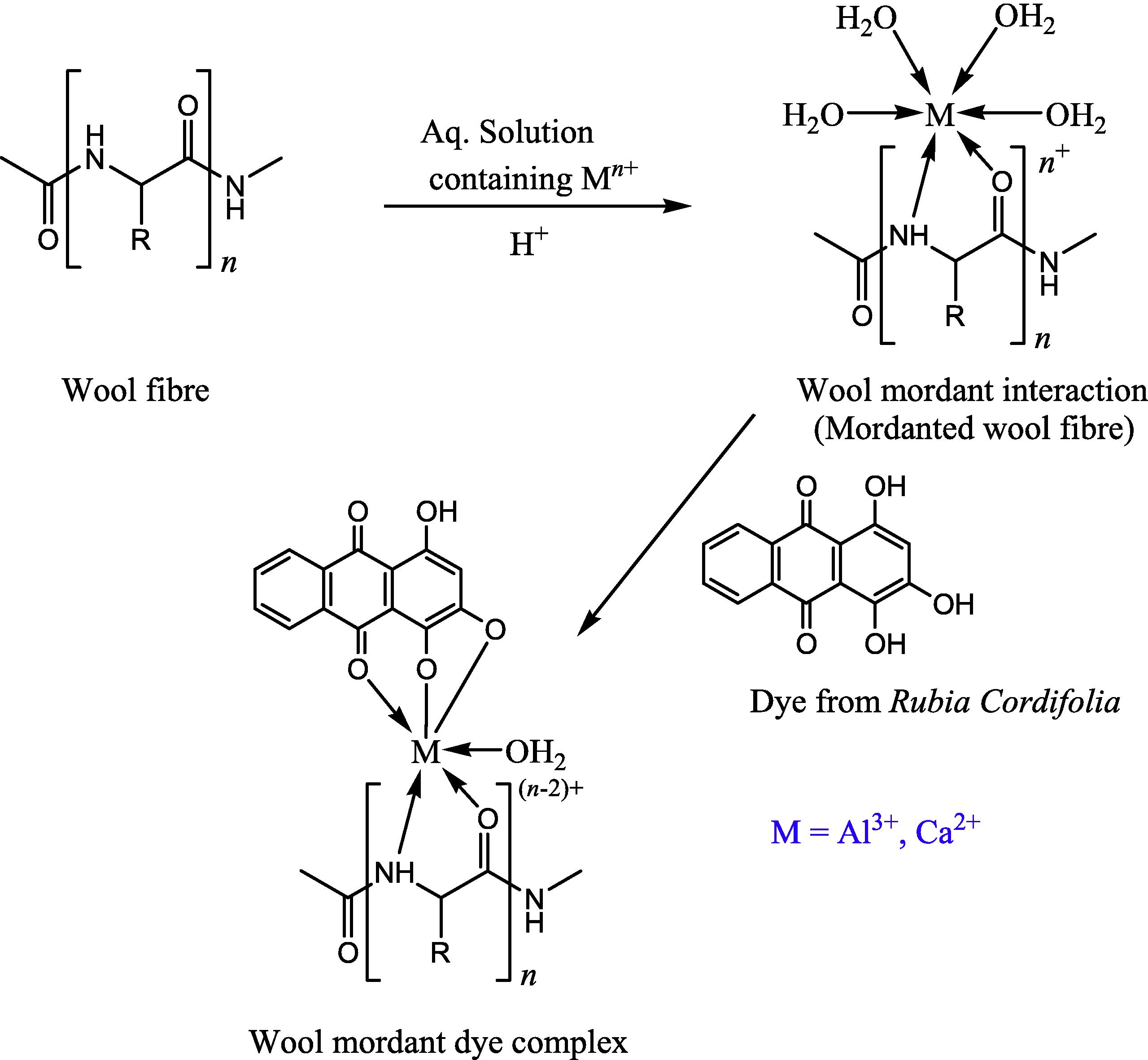 Probable complex of wool functional groups, mordant and purpurin dye molecule.