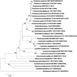 Article figure