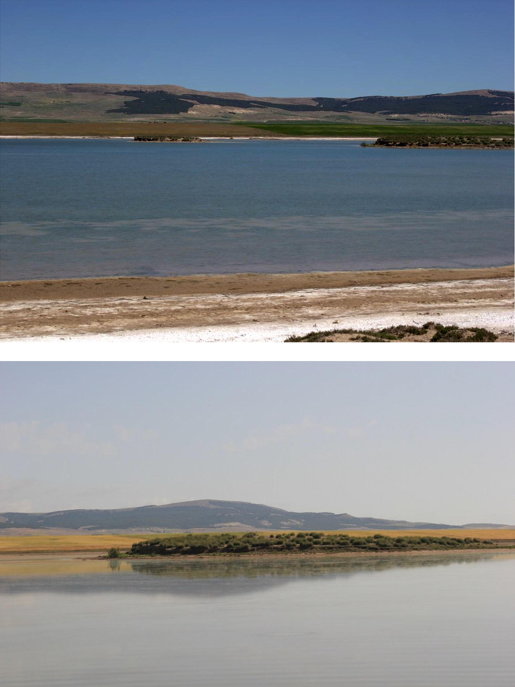 Two views of Sebkhet Ouled M’Barek, an unprotected salt marsh.