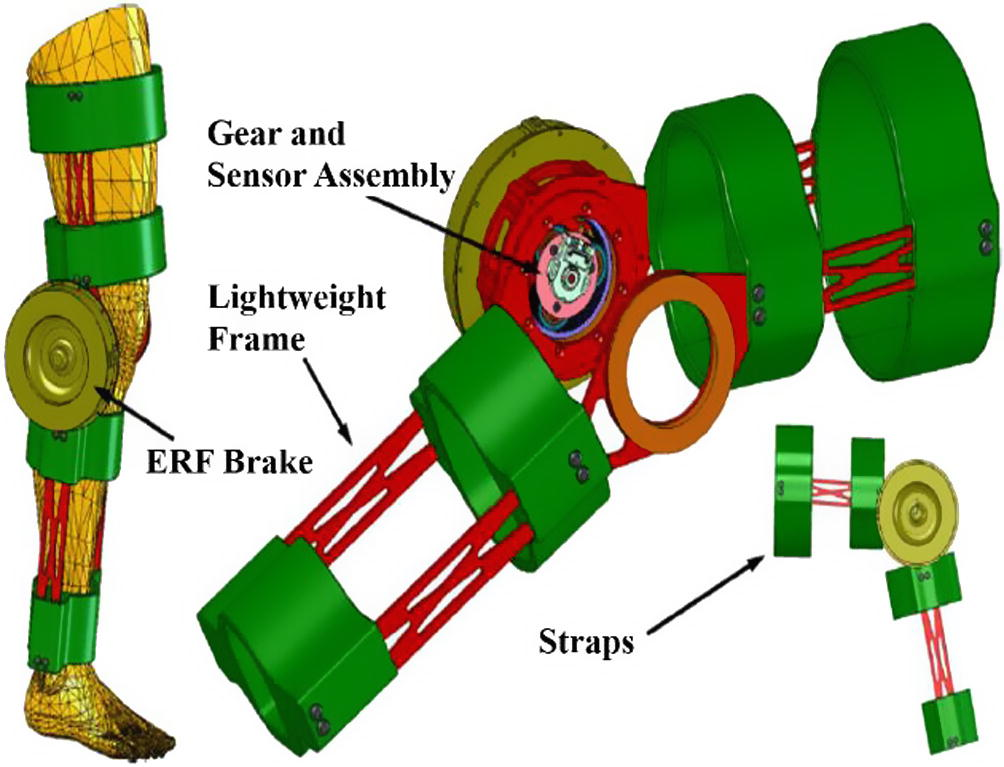 Active knee rehabilitation orthotic device using ERF brake (Nikitczuk et al., 2010).