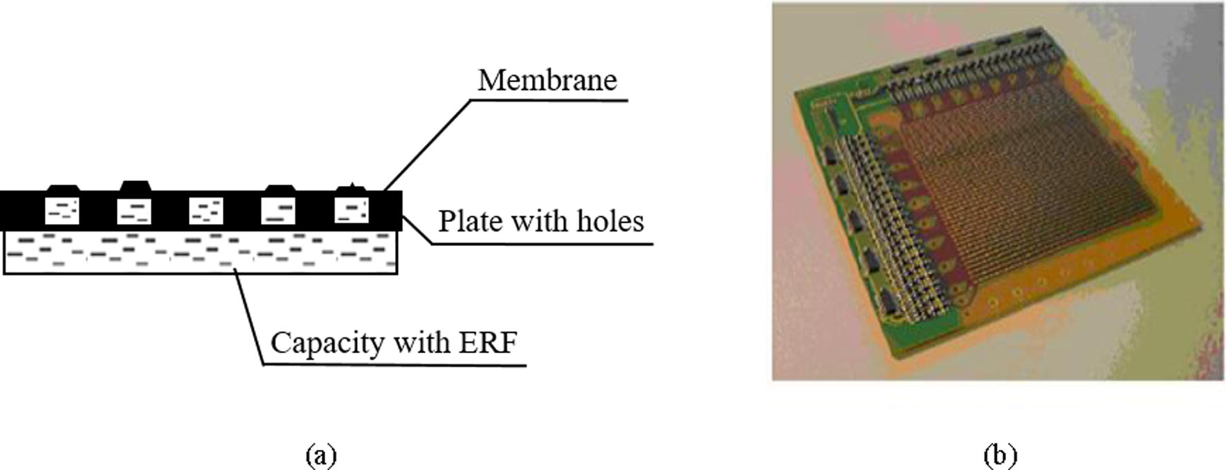 Two-dimensional braille readers based on ERF (Bansevicius and Virbalis, 2007); (a) membrane configuration, (b) matrix of electric field valves.