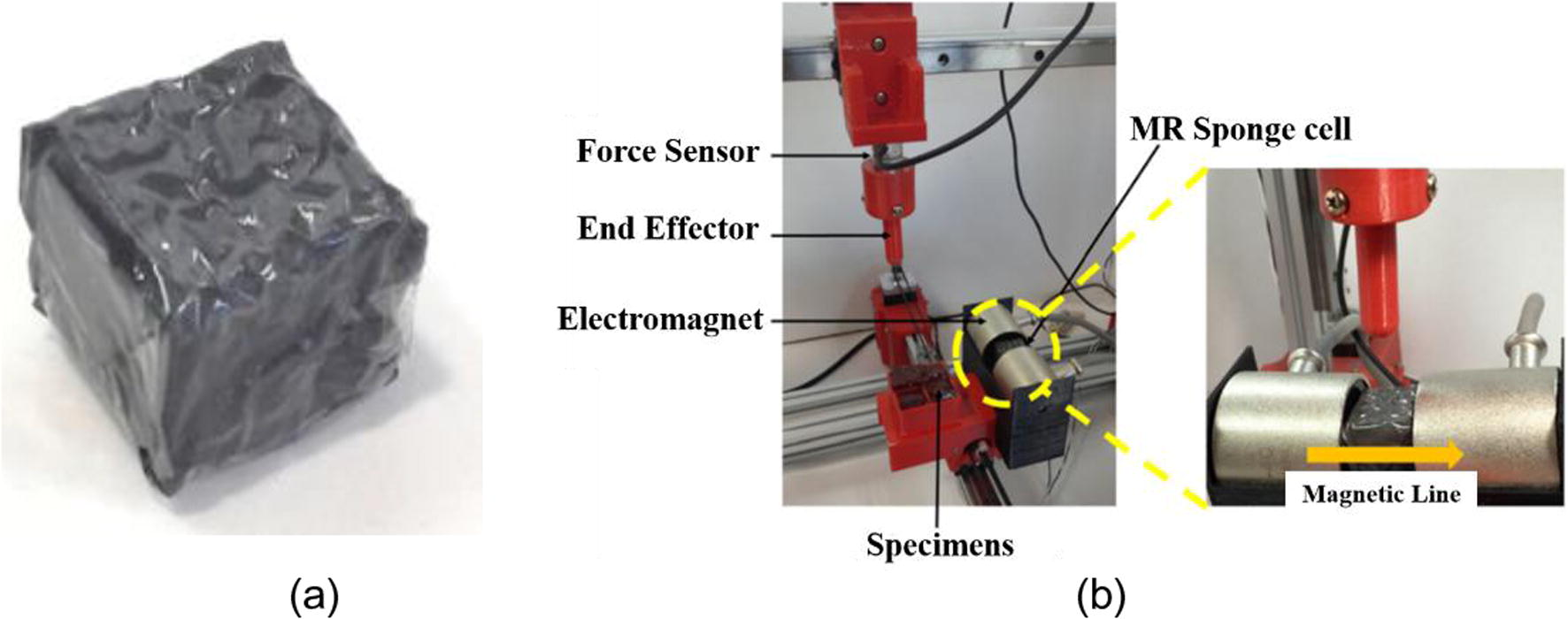 A new tactile device using MR sponge cell (Kim et al., 2016a), (a) sample of MR sponge cell, (b) testing of the reaction force and relaxation time.