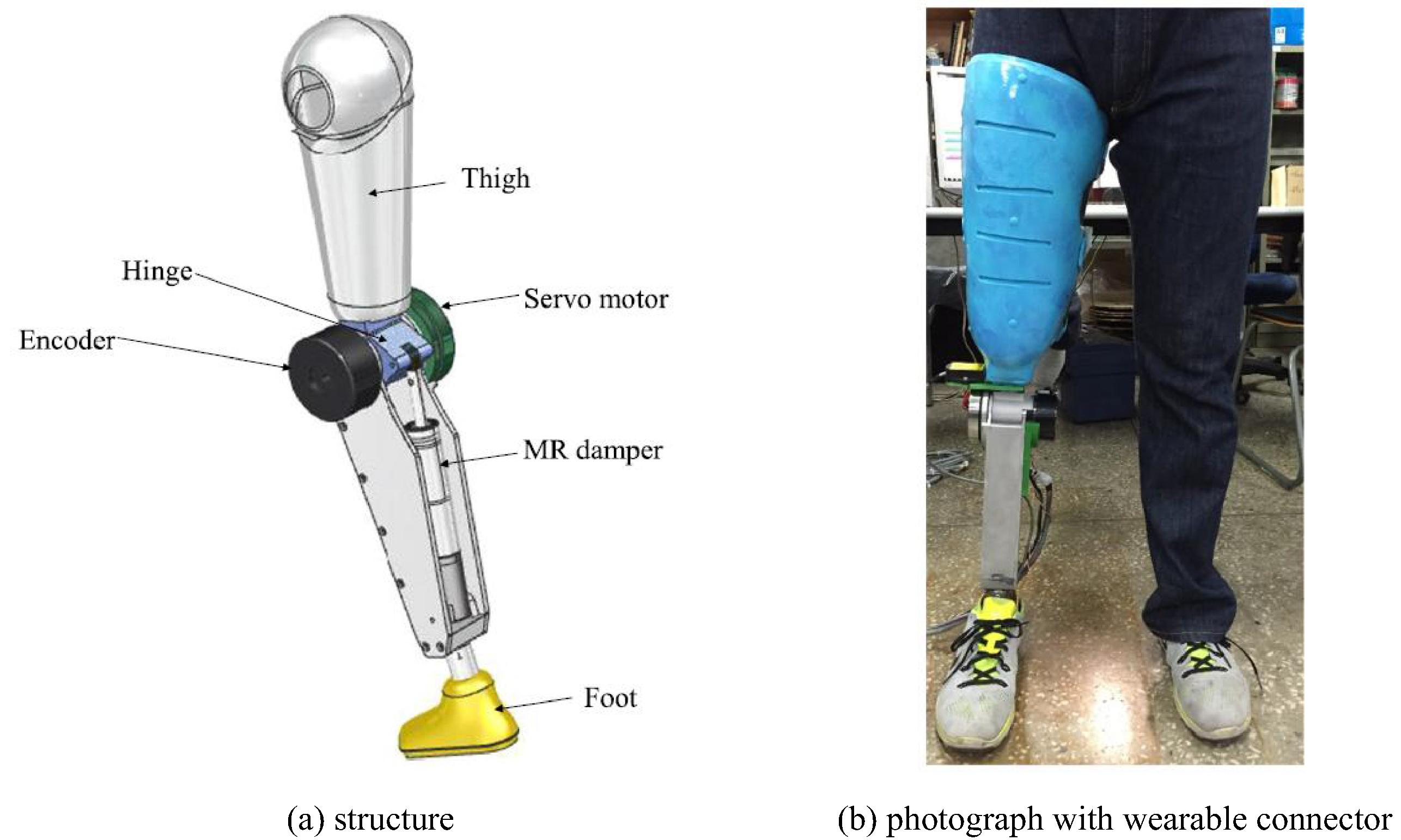 A prosthetic leg for above-knee amputees using MR damper (Park et al., 2016).