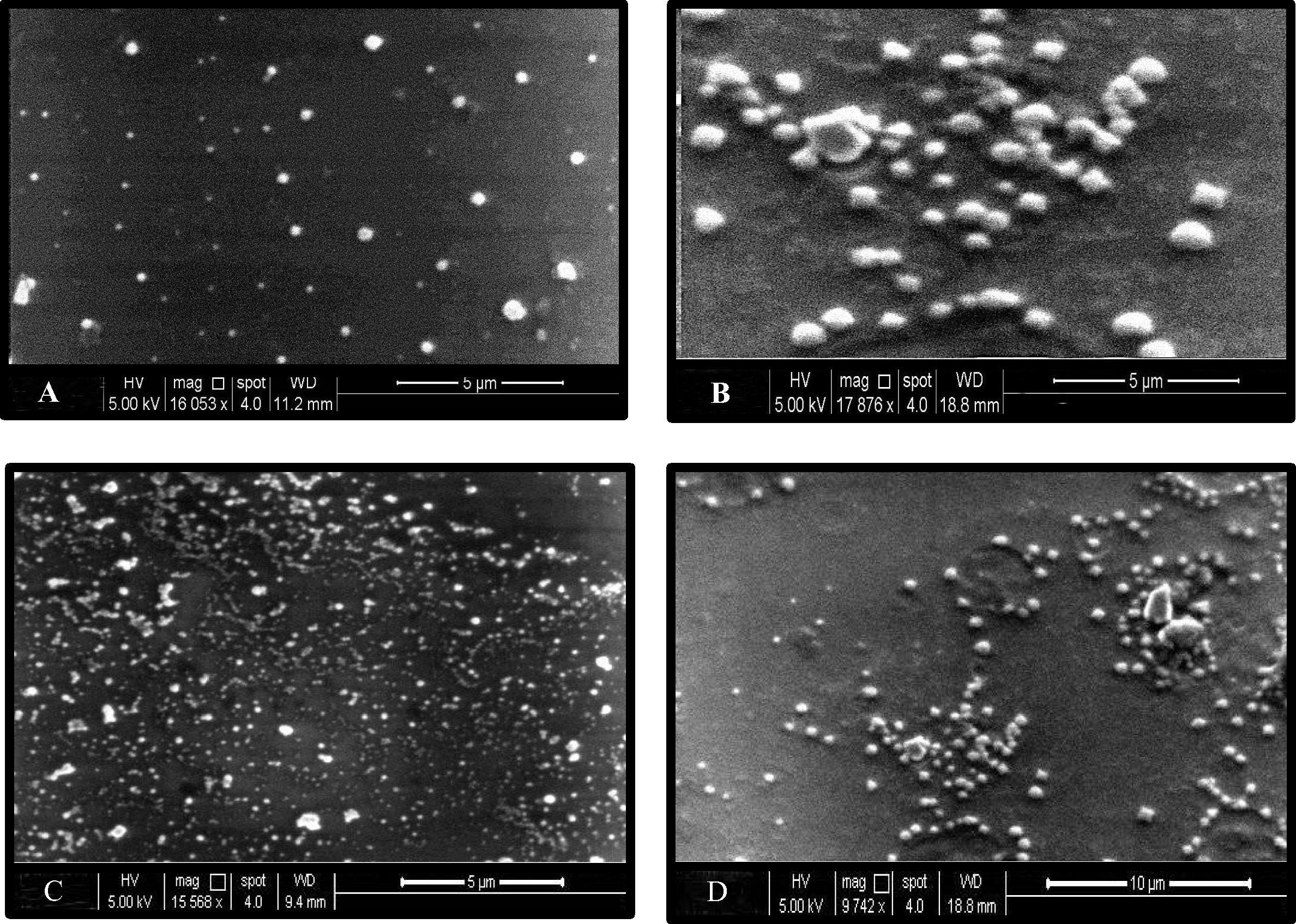 SEM of silver nanoparticles synthesized by LAB mix1.The shape of AgNPs was spherical and homogenous, size between (30–100 nm), magnification (16053×, 17876×, 15568×, 9742×), the voltage (5 kV) and spot size 4 for A, B, C and D respectively.