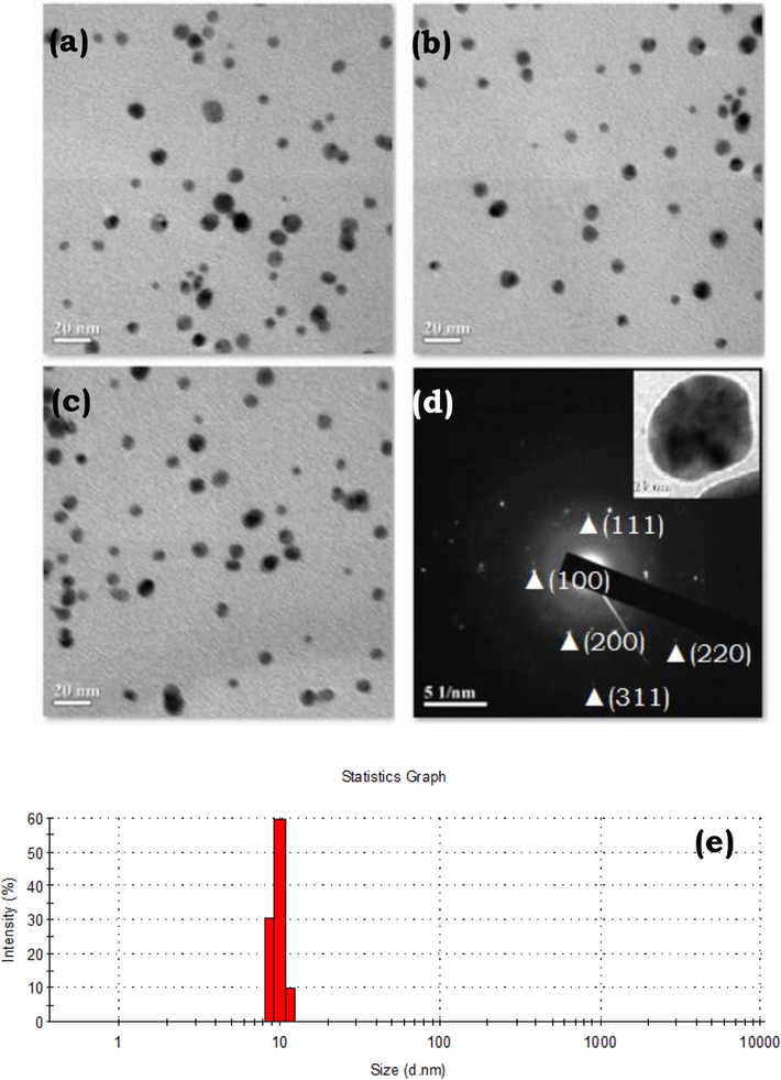 Gold nanoparticles stabilized by starch polymer and their use as ...