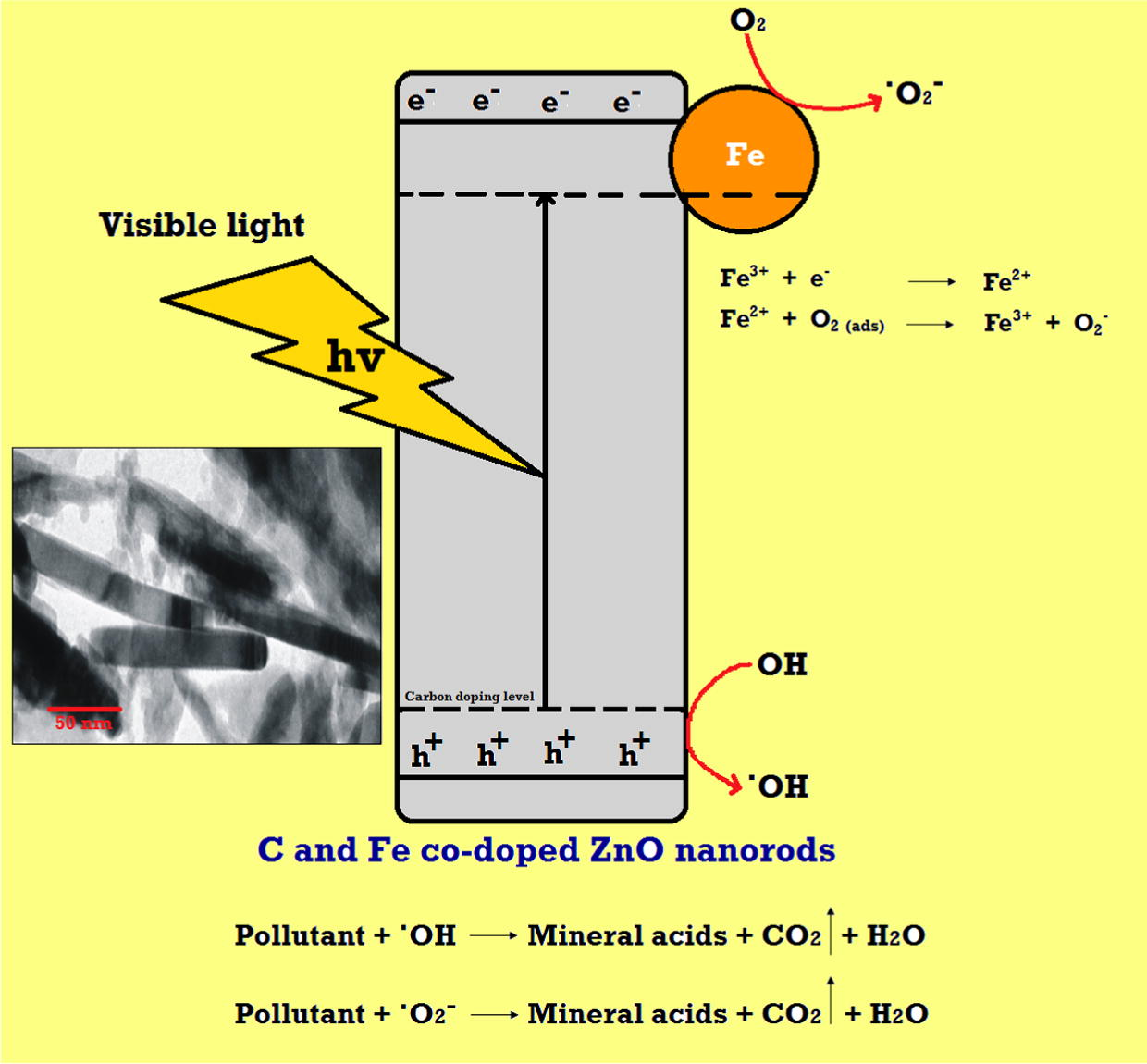 Proposed mechanism to explain the increase in the photocatalytic activity due to synergic effect of C and Fe co-doping in ZnO nanorods.