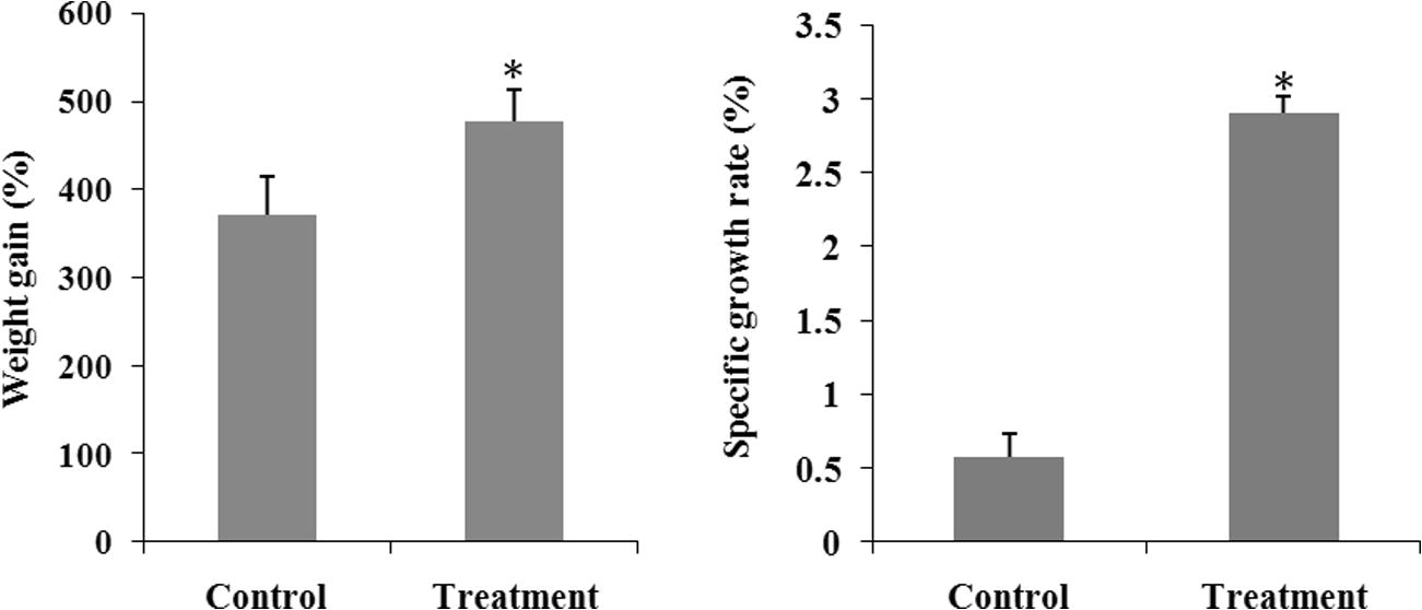 Weight gain and SGR of M. rosenbergii reared with and without C. butyricum probiotic added to feed. Each value is mean ± standard deviation of three individual observations. The significance of differences was calculated by a t-test. *p < 0.05 compared with control.