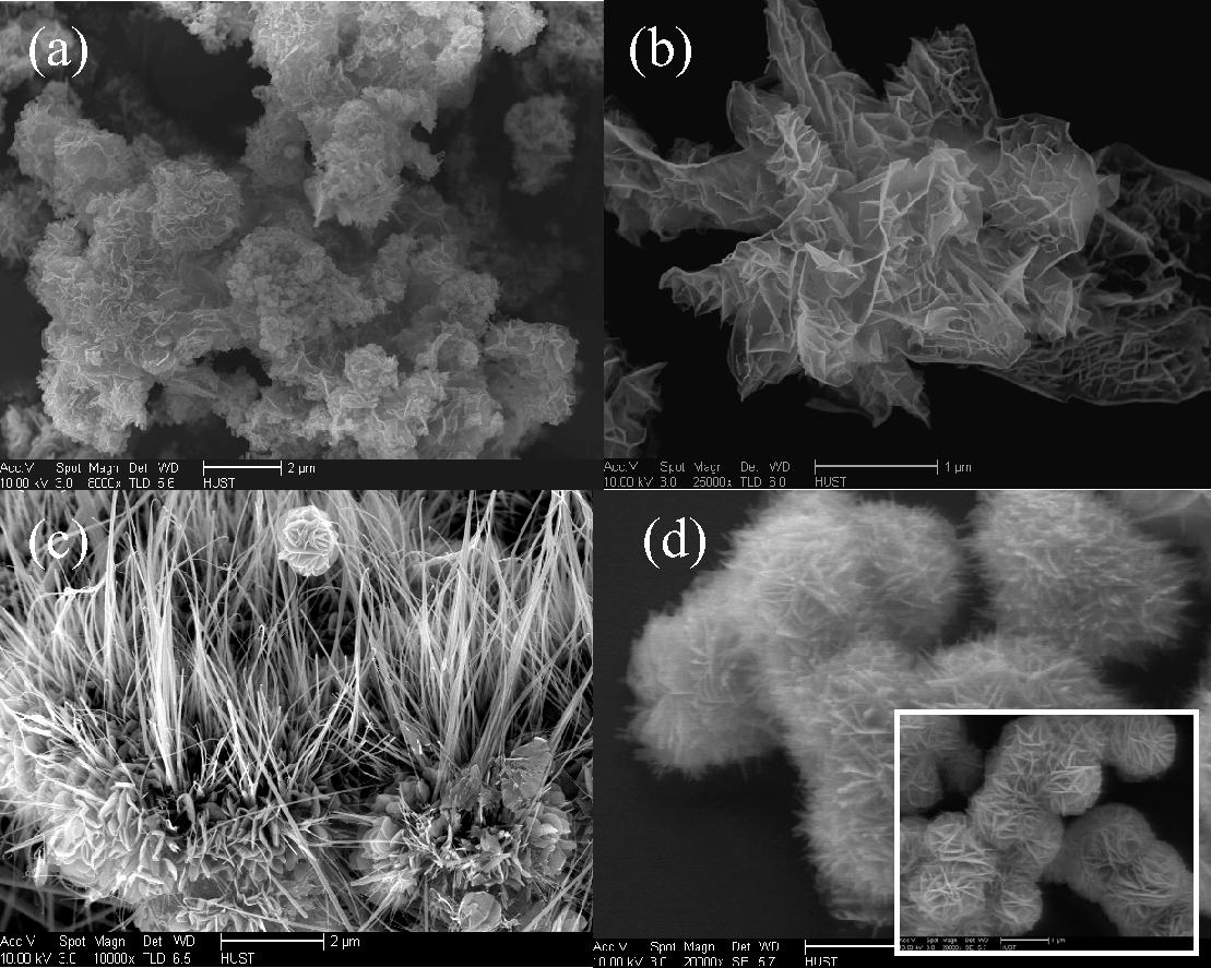 FE-SEM images of CoxMn1−xO2 fabricated through hydrothermal route using Co:Mn of 1:2 mol ratio at 140 °C for various times (a) 4 h, (b) 8 h and (c) 12 h; (d) Co:Mn molar ratios of 1:4 (inserted of molar ratios of 1:6).