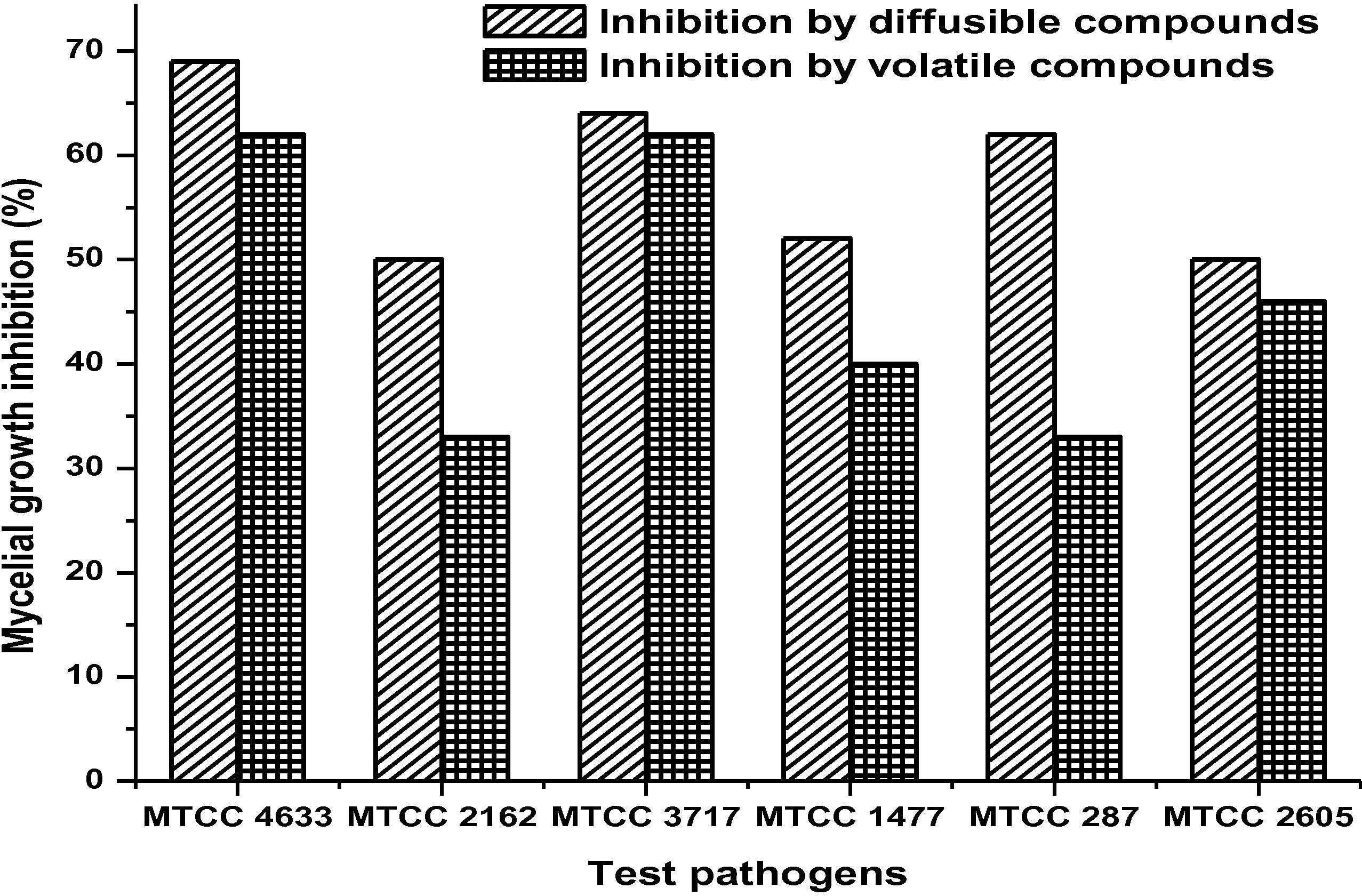 Mycelial growth inhibition of fungal test pathogens by strain MBRL 10 due to diffusible and volatile compound(s). MTCC 4633, Rhizoctonia solani; MTCC 2162, Rhizoctonia oryzae-sativae; MTCC 3717, Bipolaris oryzae; MTCC 1477, Pyricularia oryzae; MTCC 284, Fusarium oxysporum; MTCC 2605, Curvularia oryzae.