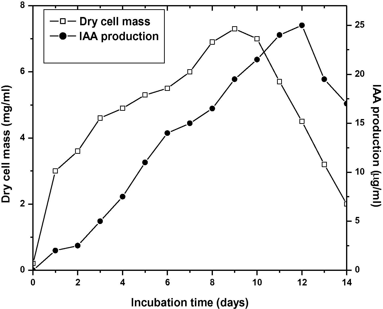 IAA production by MBRL 10 in the presence of 2 mg/ml of tryptophan.