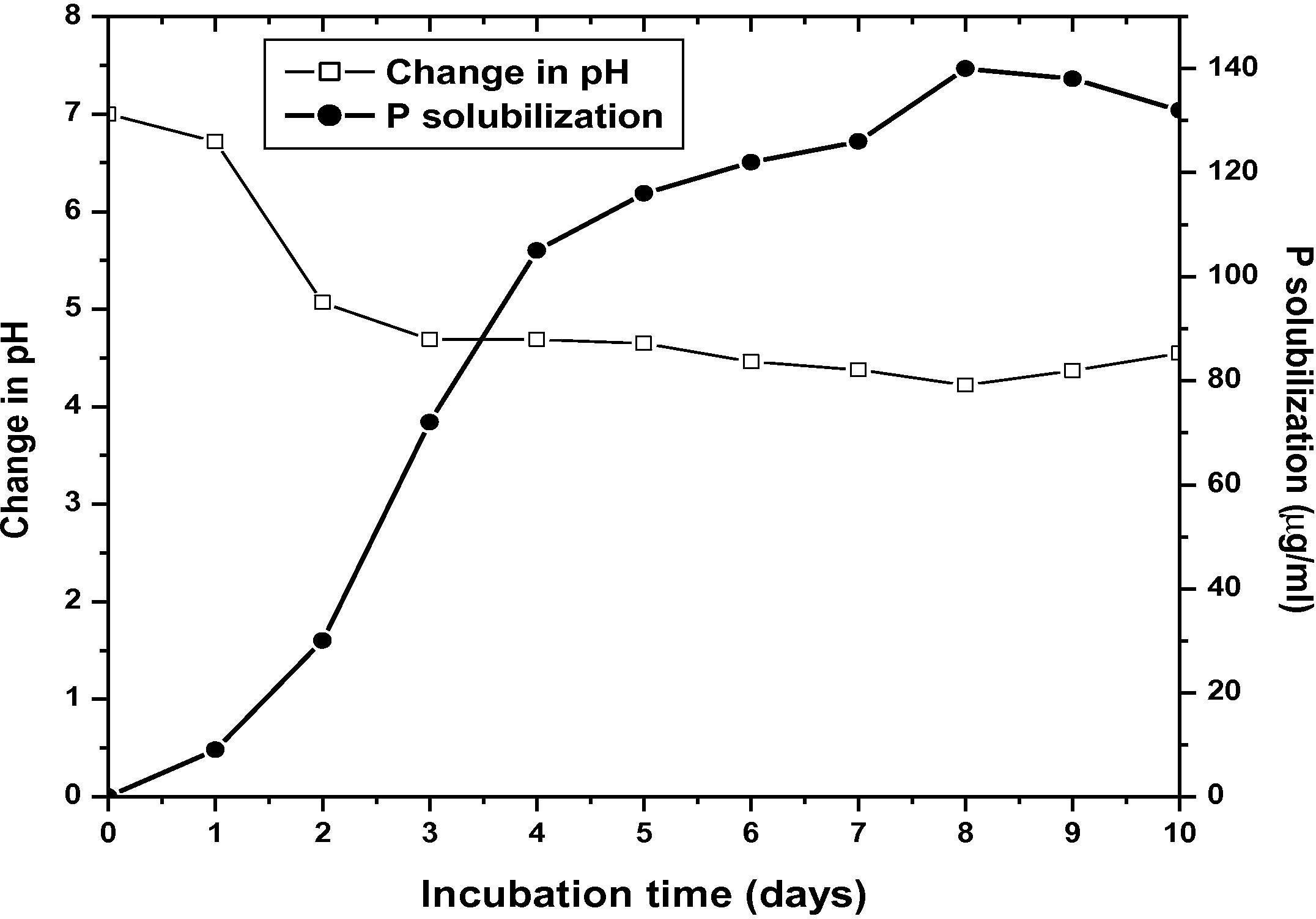 P solubilization by MBRL 10 with corresponding change in medium pH.