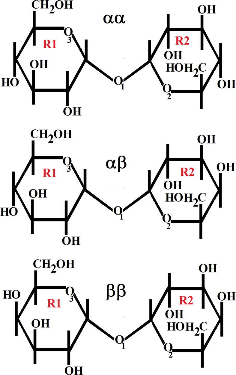 Theoretical anhydrous structures of αα-, αβ and ββ-trehalose indicating the atoms labeling for the O atoms corresponding to the glycosidic and glucopyranose rings.