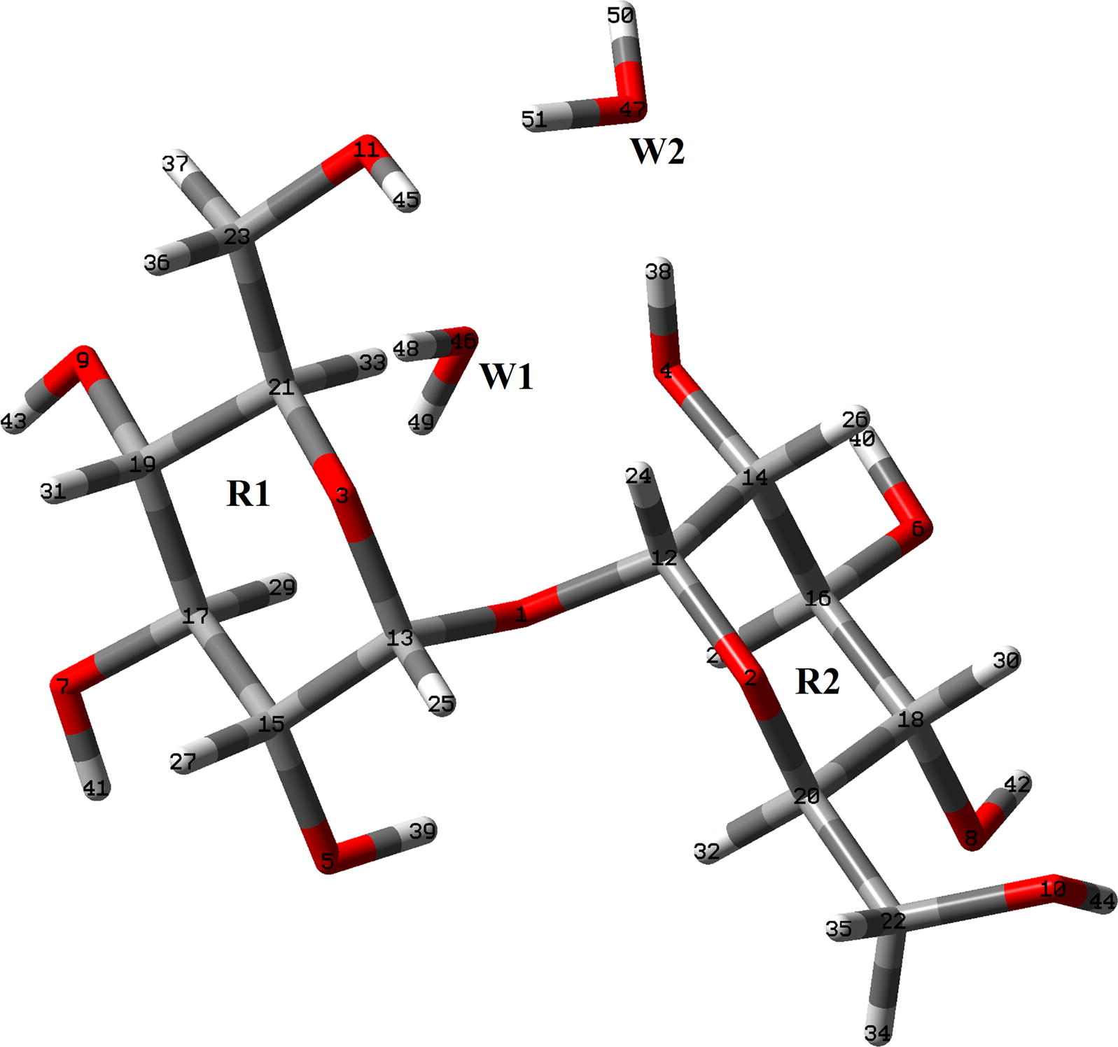 Theoretical structure of αα-dihydrated trehalose species together with the atoms labeling. The water molecules are indicated by W letters.