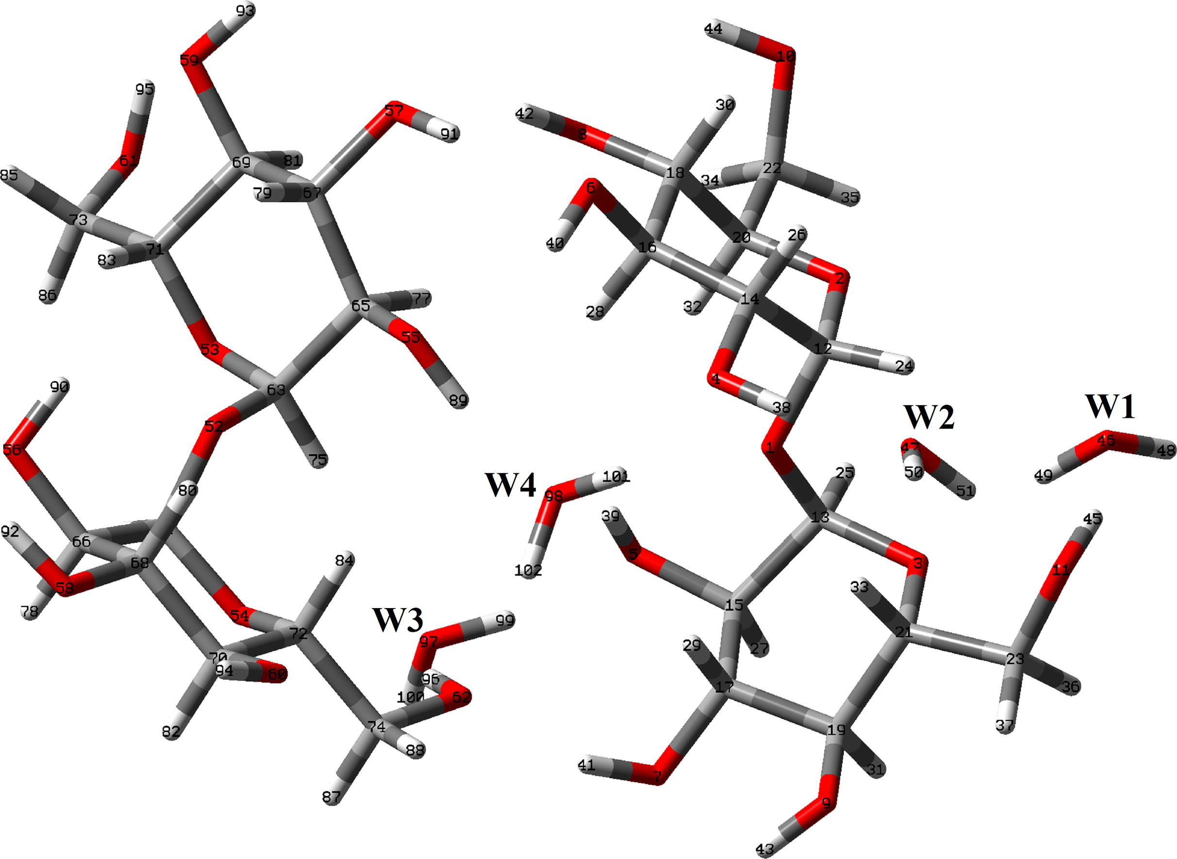 Theoretical dimeric structure of αα-dihydrated trehalose species together with the atoms labeling.