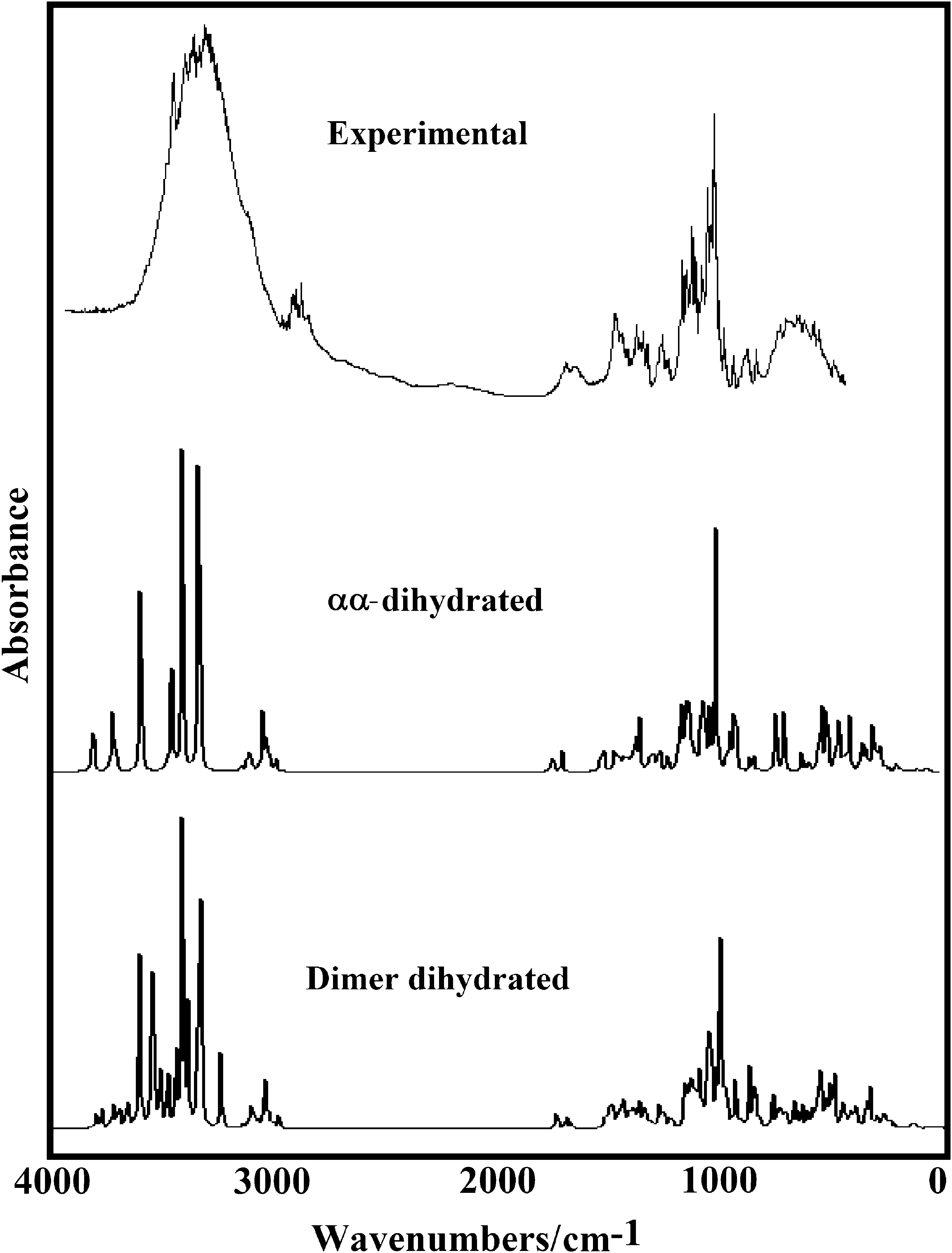 Experimental FTIR spectra of αα-dihydrated in the solid phase compared with the corresponding predicted for this species and their dimer in gas phase at the B3LYP/6-31G* level of theory.