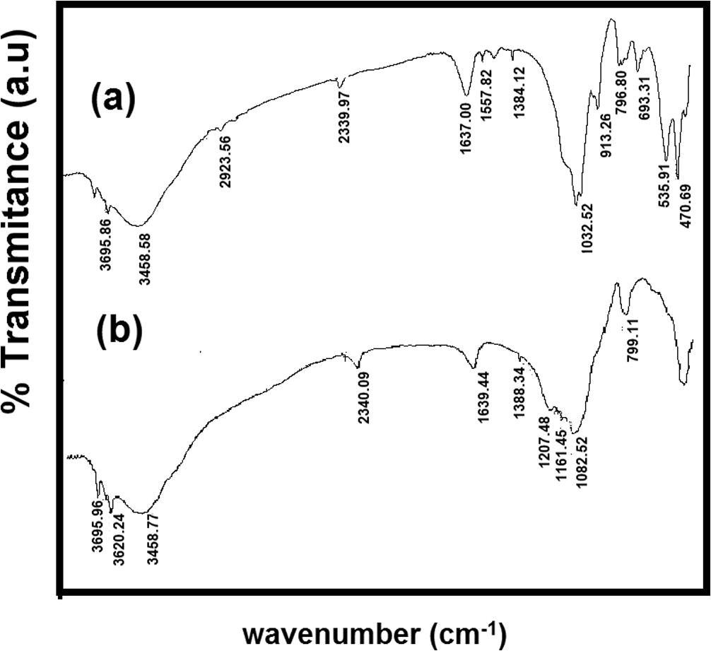 FTIR spectra of APTES-Kao-10 (a) before adsorption (b) after adsorption.