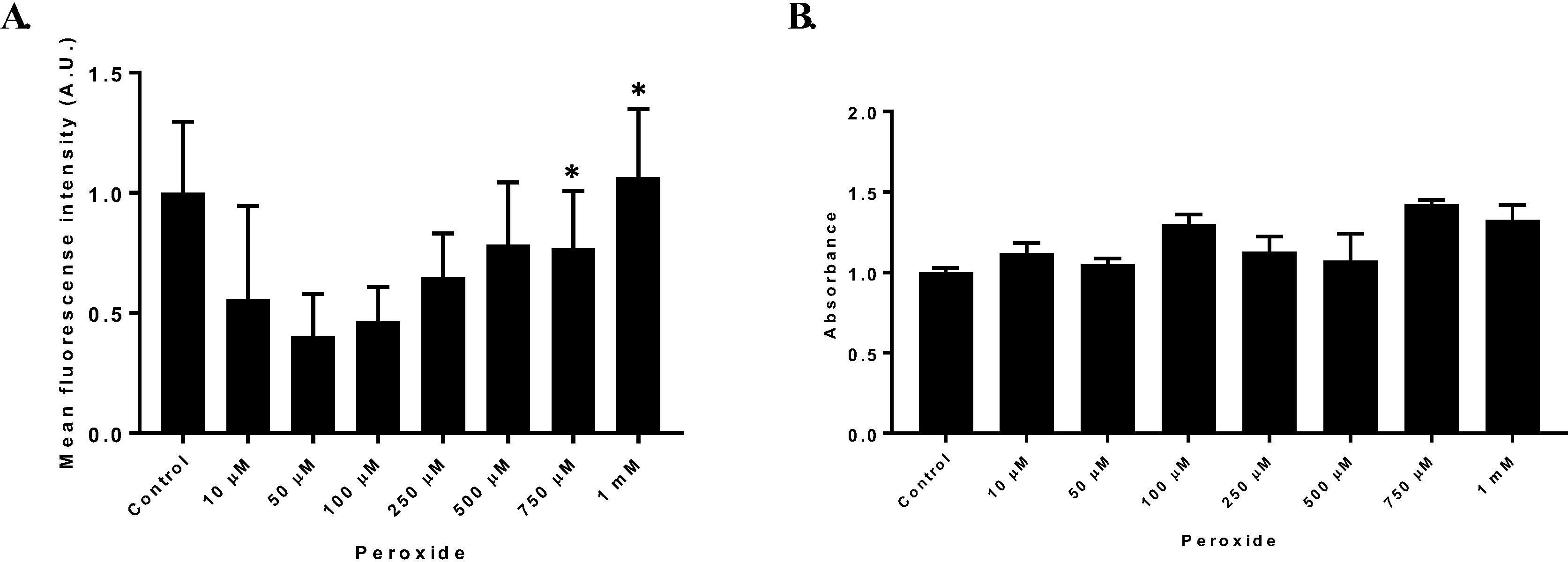 Reactive oxygen species production. (A) HT1080 cells treated with different hydrogen peroxide concentrations to evaluate ROS production through DHE assay. ROS production was established as mean fluorescence intensity arbitrary units (A.U) ± SD (B) Mean fluorescence intensity of HT1080 cell treated with increasing hydrogen peroxide concentrations to evaluate ROS production through DHE probe. n = 3. (*p = 0.05).